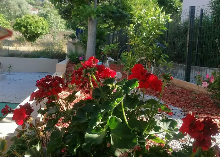 فندق مبيت وإفطار A Casa Assulanata 3*